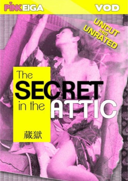 TheSecret In The Attic